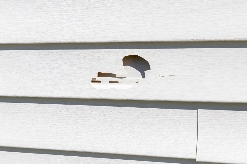 Siding Repair Work