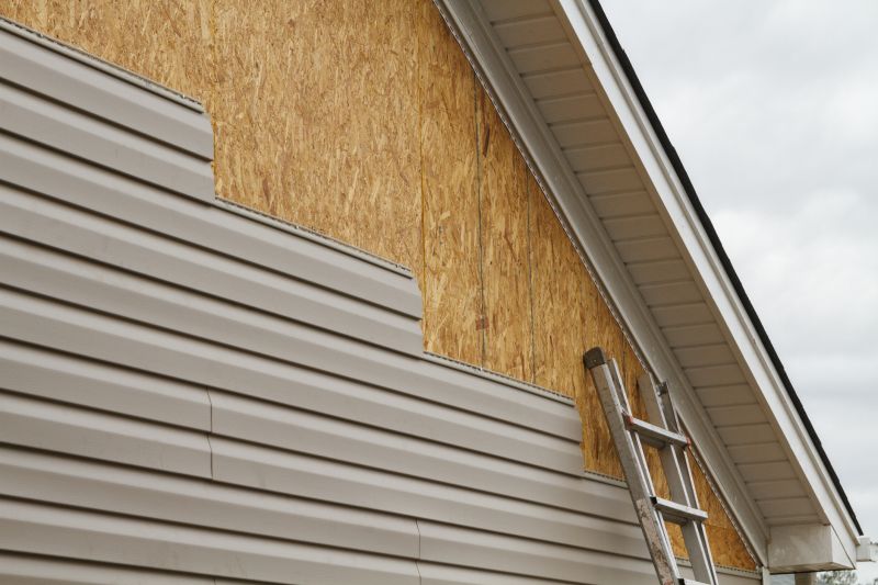 Vinyl Siding Renovation detail